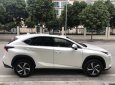 Lexus NX 2018 - Bán Lexus NX300 sản xuất 2018 màu trắng, giao ngay