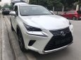 Lexus NX 2018 - Bán Lexus NX300 sản xuất 2018 màu trắng, giao ngay