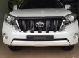 Toyota Prado TXL 2.7L 2014 - Bán Toyota Prado TXL 2.7L đời 2014, màu trắng, nhập khẩu  