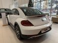 Volkswagen New Beetle 2018 - [VW Trần Hưng Đạo] giao ngay Beetle 2.0 đủ màu, nhập khẩu nguyên chiếc, hỗ trợ vay 80% với lãi suất thấp