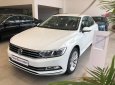 Volkswagen Passat 2018 - [VW Trần Hưng Đạo] giao ngay Passat Bluemotion đủ màu, trả trước 300 triệu lấy xe ngay, lãi suất vay thấp nhất