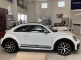 Volkswagen New Beetle 2018 - [VW Trần Hưng Đạo] giao ngay Beetle 2.0 đủ màu, nhập khẩu nguyên chiếc, hỗ trợ vay 80% với lãi suất thấp