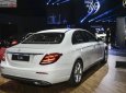 Mercedes-Benz E class E250 2018 - Bán ô tô Mercedes E250 đời 2019, màu trắng