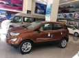 Ford EcoSport  1.5 Titanium  2018 - Ford Hà Thành bán Ford EcoSport 1.5 Titanium năm sản xuất 2018, màu nâu, 605 triệu