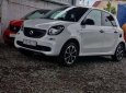 Smart Forfour 2016 - Bán Smart Forfour năm 2016, màu trắng, xe nhập giá cạnh tranh