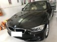 BMW 3 Series 320i 2013 - Bán ô tô BMW 3 Series 320i sản xuất 2013, màu đen, xe nhập