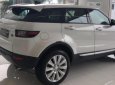 LandRover Evoque 2018 - Bán LandRover Evoque năm sản xuất 2018, màu trắng, xe nhập giao ngay