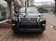 Lexus GX  460 Luxury 2018 - Bán Lexus GX460 Luxury 2018, màu đen, nhập khẩu MỸ. Giao ngay - LH: 093.798.2266