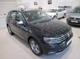 Volkswagen Tiguan Allspace 2019 - Bán xe Volkswagen Tiguan Allspace 2019 SUV 7 chỗ xe Đức nhập khẩu chính hãng mới 100% giá rẻ, LH ngay 0933 365 188