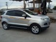 Ford EcoSport   2017 - Bán xe Ford EcoSport 2017, màu bạc còn mới, giá chỉ 495 triệu