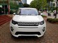 LandRover Discovery   Sport HSE   2016 - Bán LandRover Discovery Sport HSE Luxury, là phiên bản cao cấp
