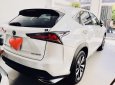 Lexus NX 300 2017 - Cần bán Lexus NX300 2018, nhập khẩu nguyên chiếc