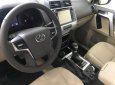 Toyota Prado VX 2019 - Bán Toyota Prado VX 2019, màu đen và trắng giao ngay 