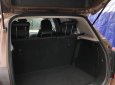 Chevrolet Trax   2017 - Bán Chevrolet Trax năm 2017, màu nâu, nhập khẩu nguyên chiếc như mới 