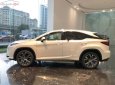 Lexus RX 300 2018 - Cần bán xe Lexus RX 300 2018, màu trắng, nhập khẩu