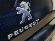 Peugeot 408 Deluxe 2017 - Bán Peugeot 408 Deluxe năm 2017, màu đen nhiều bất ngờ