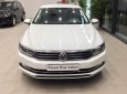 Volkswagen Passat 2017 - Bán xe Volkswagen Passat 2017, màu trắng, xe nhập, có sẳn giao ngay