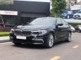 BMW 5 Series 530i Luxury Line G30 2018 - Cần bán BMW 530i Luxury Line G30 đời 2018, màu đen, nhập khẩu