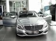 Mercedes-Benz S class S500 2013 - Cần bán xe Mercedes S500 sản xuất 2013, màu bạc chính chủ