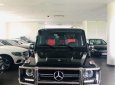 Mercedes-Benz G class  G63 AMG 2018 - Bán ô tô Mercedes G63 AMG sản xuất năm 2018, màu xanh