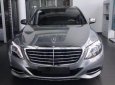 Mercedes-Benz S class S500 2013 - Cần bán xe Mercedes S500 sản xuất 2013, màu bạc chính chủ