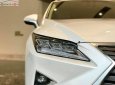Lexus RX 300 2018 - Cần bán Lexus RX 300 đời 2018, màu trắng, xe nhập