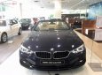 BMW 4 Series 420i Convertible 2018 - Cần bán BMW 4 Series 420i Convertible sản xuất năm 2018, màu xanh lam, xe nhập