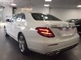 Mercedes-Benz E class E250 2018 - Cần bán Mercedes E250 sản xuất năm 2018, màu trắng