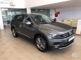 Volkswagen Tiguan All Space 2018 - Bán Volkswagen Tiguan All Space năm sản xuất 2018, màu xám, xe nhập