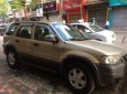 Ford Escape 3.0 V6 2004 - Cần bán xe Ford Escape 3.0 V6 đời 2004, màu vàng