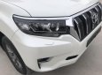 Toyota Prado 2018 - Cần bán xe Toyota Prado đời 2018, màu trắng, xe siêu lướt thơm mùi mới - Liên hệ: 094-711-6996 Mr Thanh