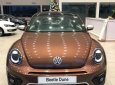 Volkswagen Beetle 2018 - Bán xe Volkswagen Beetle sản xuất 2018, màu nâu nhập từ Âu