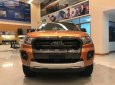 Ford Ranger Wildtrak 2.0L 4x4 AT 2019 - Bán xe Ford Ranger Wildtrak 2.0L 4x4 AT đời 2019, xe nhập