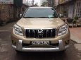 Toyota Prado XLT 2.7  2010 - Bán xe Toyota Prado 2010, màu vàng, nhập khẩu, chính chủ