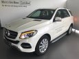 Mercedes-Benz GLE-Class GLE 400  2017 - Cần bán Mercedes-Benz GLE 400, xe nhập