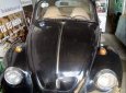 Volkswagen Beetle 1980 - Cần bán xe Volkswagen Beetle 1980, xe nhập, giá tốt