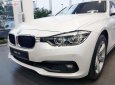 BMW 3 Series 320i 2018 - Bán ô tô BMW 3 Series 320i sản xuất năm 2018, màu trắng, xe nhập