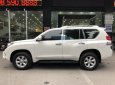 Toyota Prado TXL 2010 - Bán xe Toyota Prado TXL đời 2010, màu trắng, xe chất