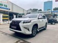 Lexus GX 460 2010 - Cần bán lại xe Lexus GX 460 đời 2010, màu trắng, nhập khẩu