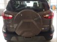 Ford EcoSport   Titanium   2019 - Bán xe Ford Ecosprot Titanium 2019 - Giá hấp dẫn