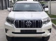 Toyota Prado 2019 - Cần bán xe Toyota Prado 2019, màu trắng, nhập khẩu nguyên chiếc