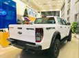 Ford Ranger  Raptor   2019 - Bán Ranger Raptor 2019 mới 100%, đủ 5 màu: Trắng, đỏ, xanh, xám, đen