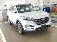 Hyundai Tucson   2.0 AT   2018 - Bán Hyundai Tucson 2.0 AT đời 2018, màu trắng, nhập khẩu, giá 775tr