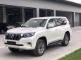 Toyota Prado 2019 - Cần bán xe Toyota Prado 2019, màu trắng, nhập khẩu nguyên chiếc