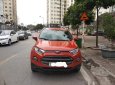 Ford EcoSport   2016 - Bán xe Ford EcoSport năm sản xuất 2016, giá cạnh tranh
