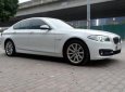 BMW 5 Series 528i 2014 - Bán ô tô BMW 5 Series 528i sản xuất 2014, nhập khẩu