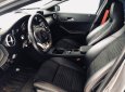 Mercedes-Benz GLA-Class GLA 250 2016 - Bán xe Mercedes-Benz GLA Class năm 2016, màu xám (ghi)