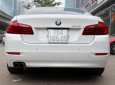 BMW 5 Series 528i 2014 - Bán ô tô BMW 5 Series 528i sản xuất 2014, nhập khẩu