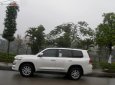 Toyota Land Cruiser VX 4.6 V8 2016 - Bán Toyota Land Cruiser VX 4.6 V8 sản xuất 2016, màu trắng, xe nhập