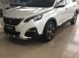 Peugeot 5008 1.6 AT 2019 - Cần bán xe Peugeot 5008 1.6 AT sản xuất năm 2019, màu trắng